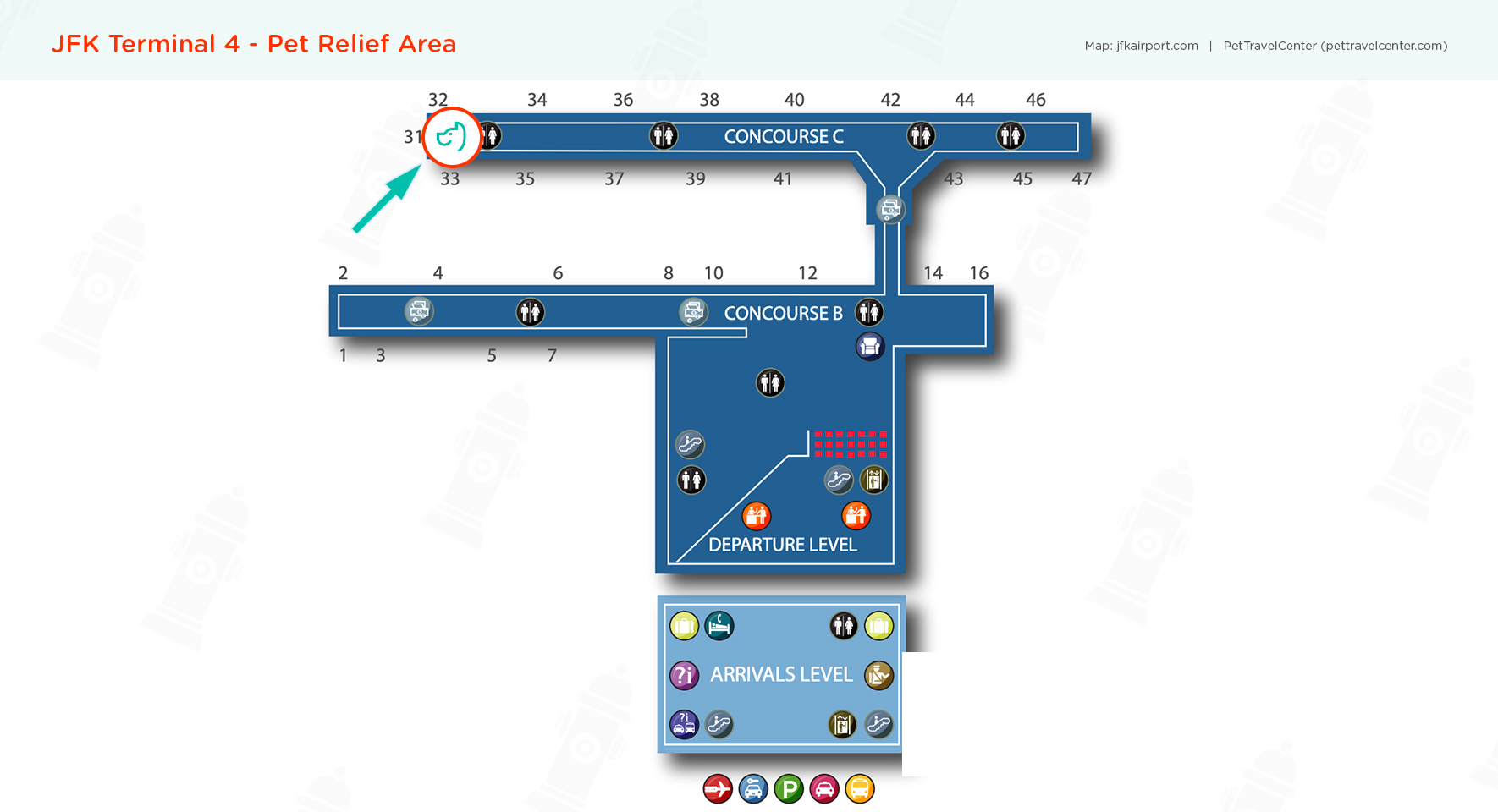 John F. Kennedy International Airport (JFK) Pet Guidelines Pet Travel
