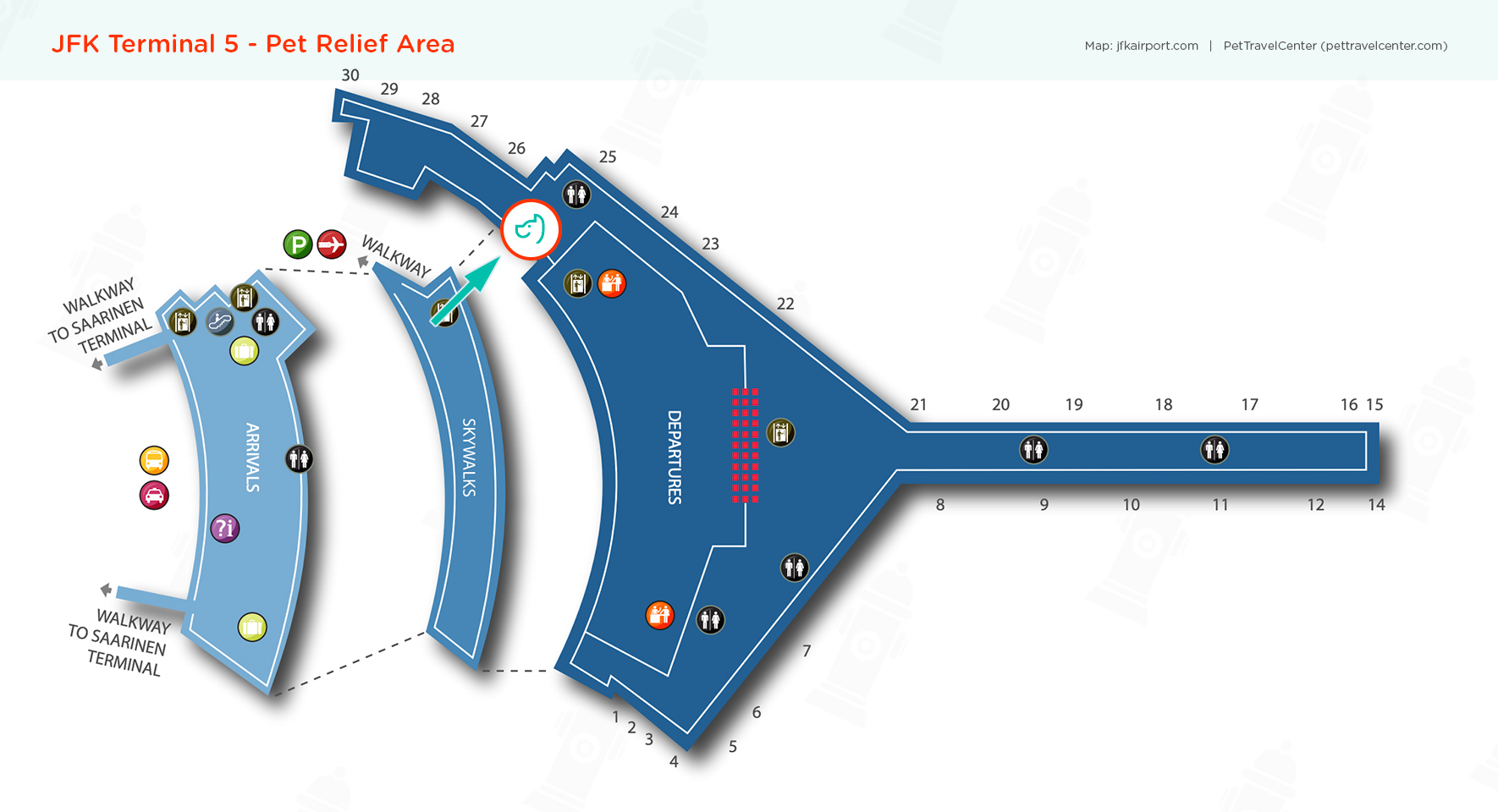 John F. Kennedy International Airport (JFK) Pet Guidelines Pet Travel