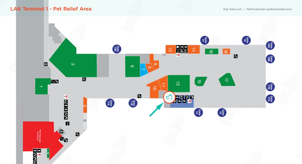 Los Angeles International Airport (LAX) Pet Guidelines Pet Travel Center