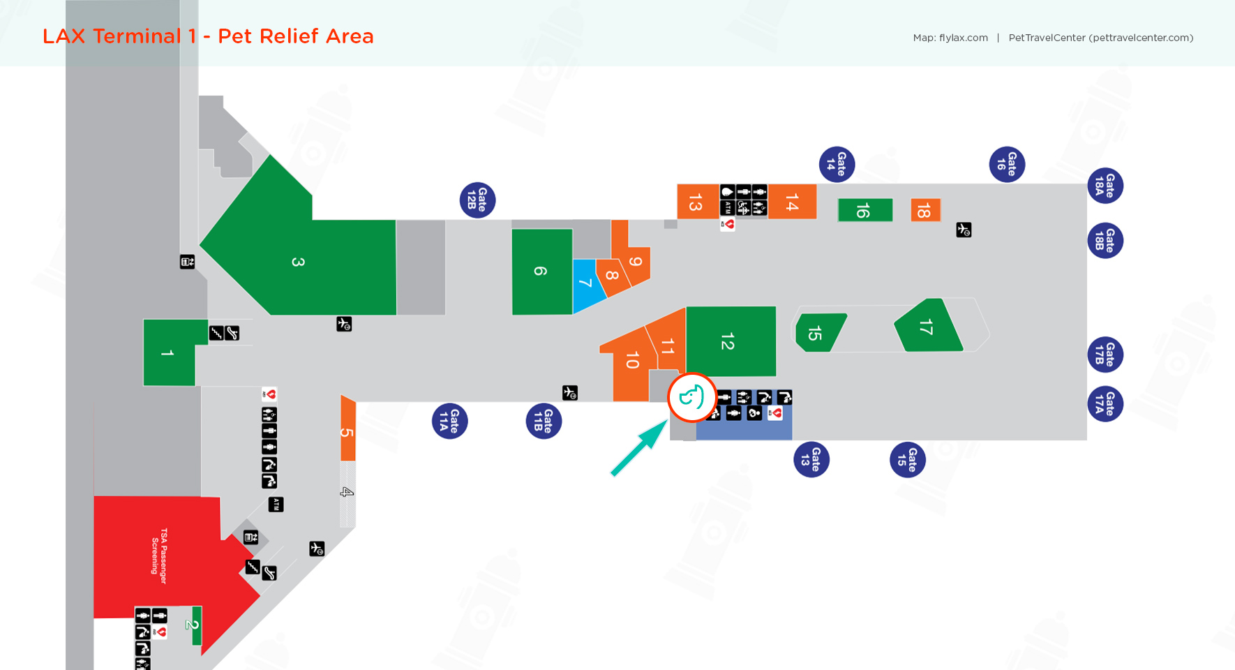 Los Angeles International Airport (LAX) Pet Guidelines Pet Travel Center