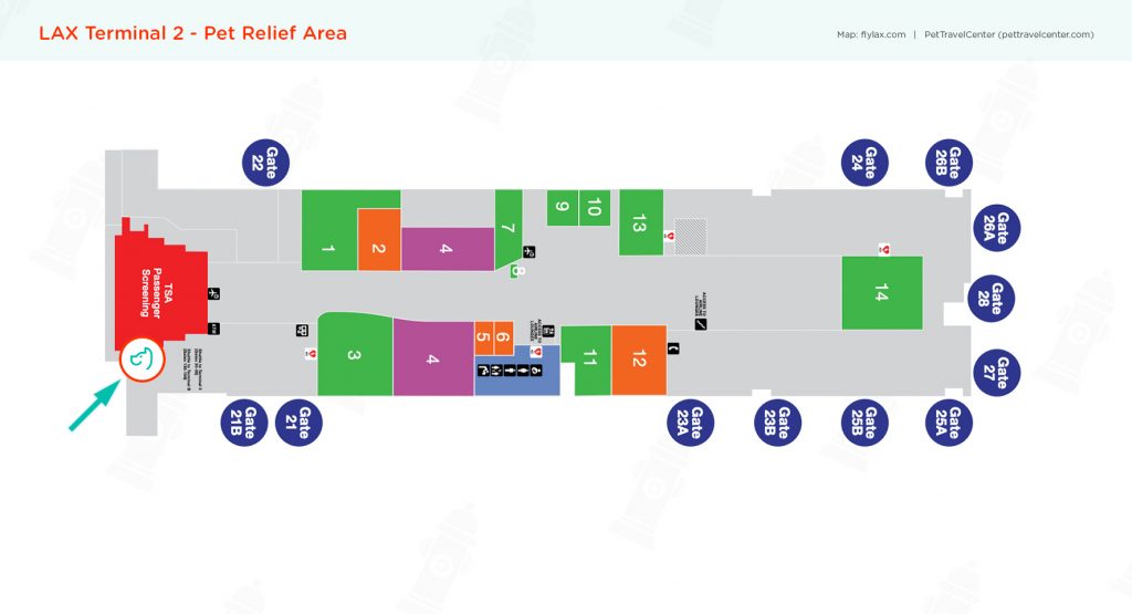 Los Angeles International Airport (LAX) Pet Guidelines Pet Travel Center