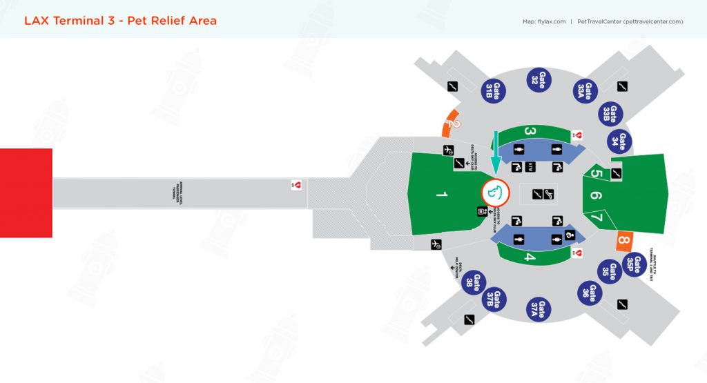 Los Angeles International Airport (LAX) Pet Guidelines - Pet Travel Center