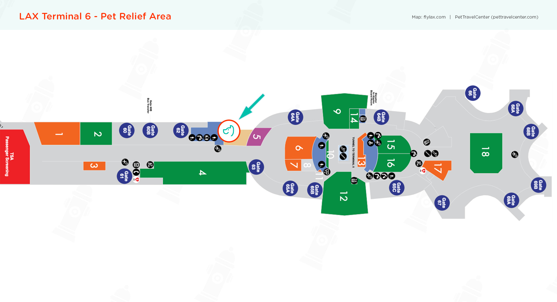 Los Angeles International Airport (LAX) Pet Guidelines - Pet Travel Center