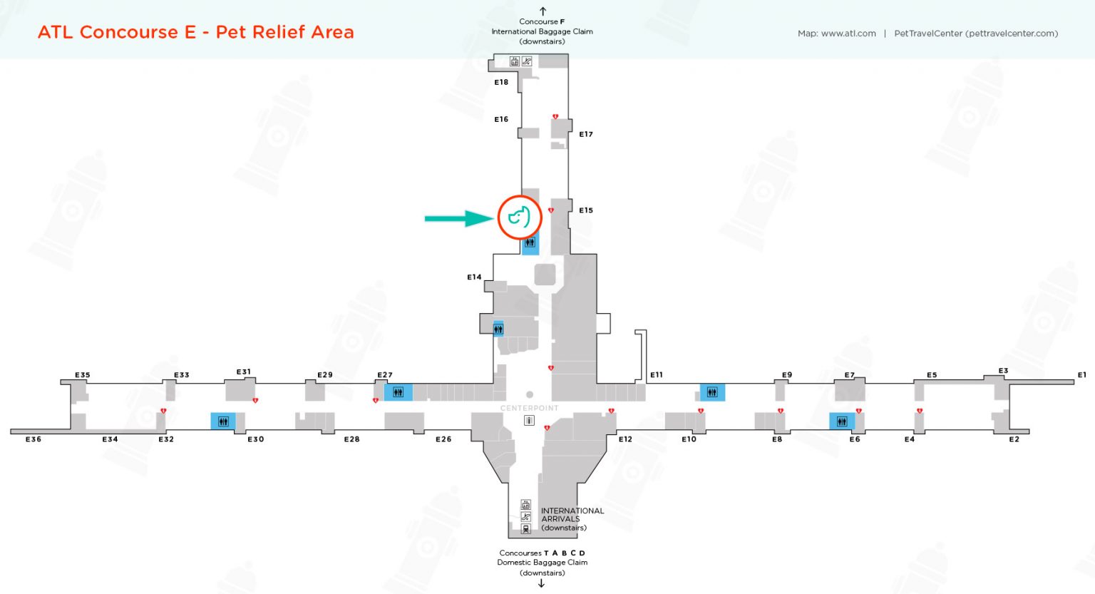 HartsfieldJackson Atlanta International Airport (ATL) Pet Guidelines