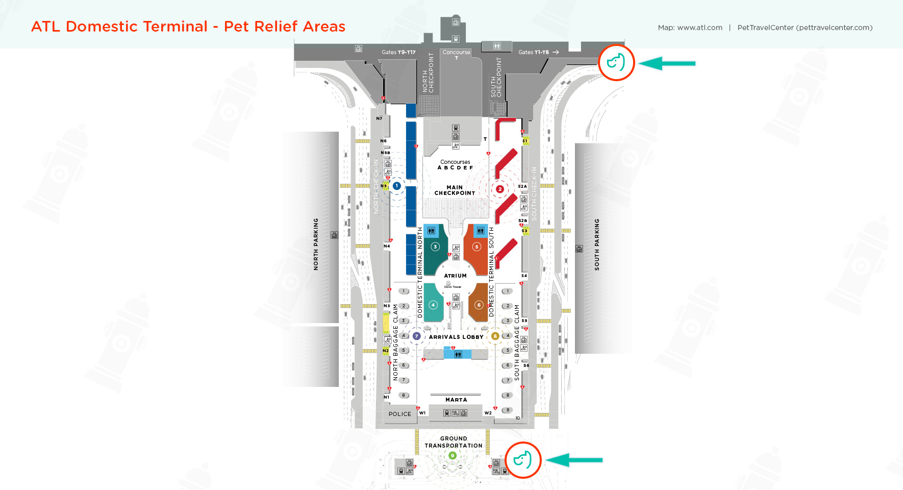 Hartsfield–Jackson Atlanta International Airport (ATL) Pet Guidelines ...