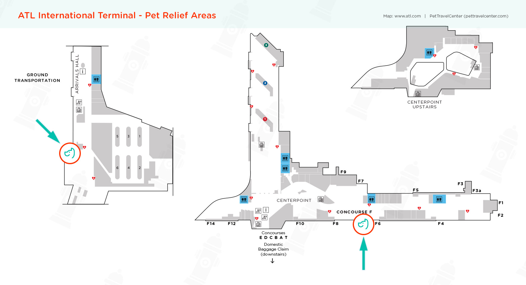HartsfieldJackson Atlanta International Airport (ATL) Pet Guidelines