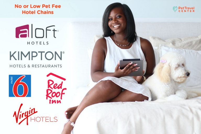 No or Low Pet Fee Hotel Chains Pet Travel Center