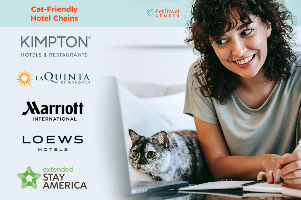 Cat-Friendly Hotel Chains - Infographic - PetTravelCenter