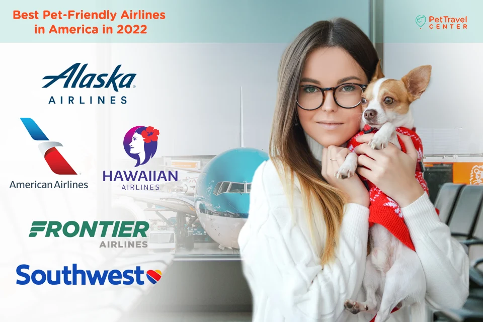 The Best Pet-Friendly Airlines in America in 2022 - PetTravelCenter